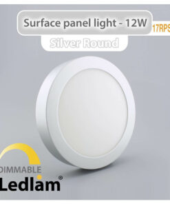Ledlam LED Surface Panel Light 12W Round 17RPSD silver dimmable 01