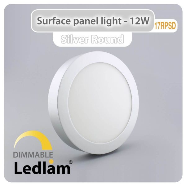 Ledlam LED Surface Panel Light 12W Round 17RPSD silver dimmable 01