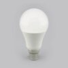 Ledlam-B22-800BP-10W-LED-Bulb-02-1