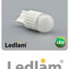 Ledlam-G9-450CP-3W-LED-Capsule-Bulb-Additional-1